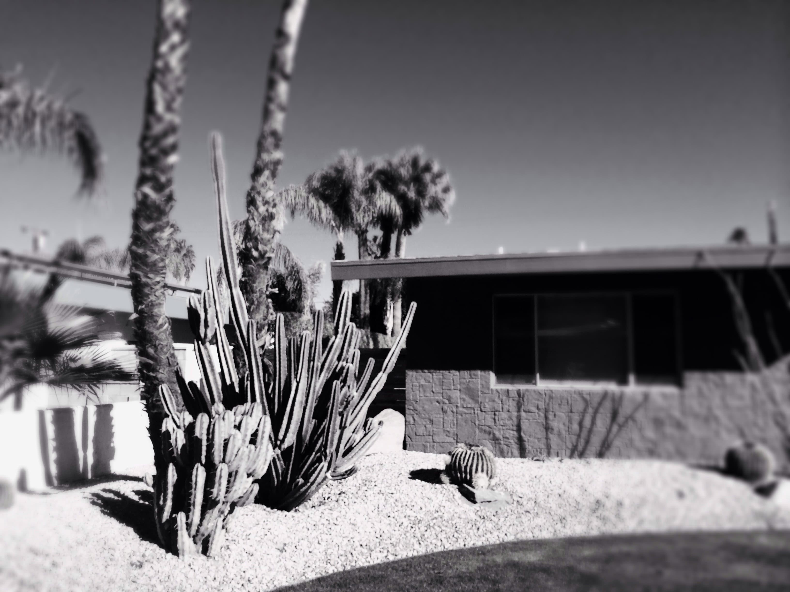 Landscape slide 18