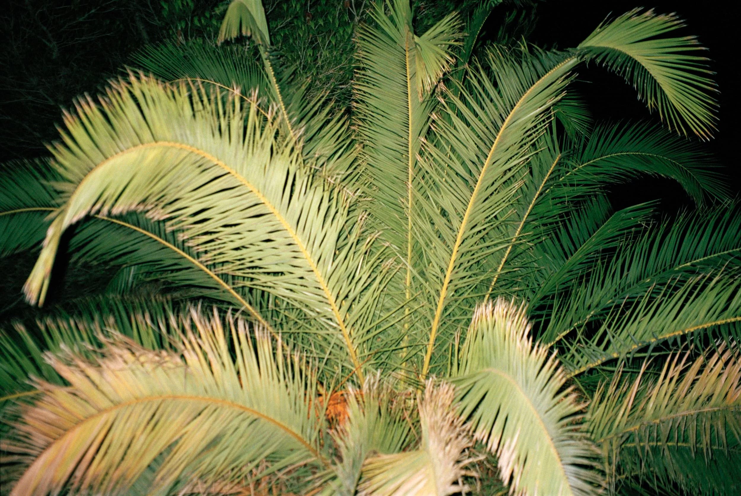 Landscape slide 7